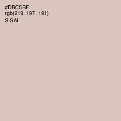 #DBC5BF - Sisal Color Image