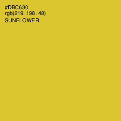 #DBC630 - Sunflower Color Image
