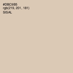 #DBC9B5 - Sisal Color Image