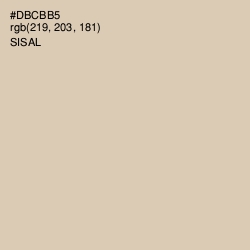 #DBCBB5 - Sisal Color Image
