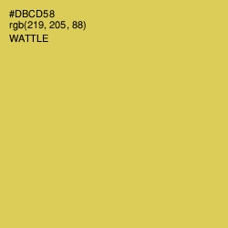 #DBCD58 - Wattle Color Image