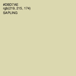 #DBD7AE - Sapling Color Image