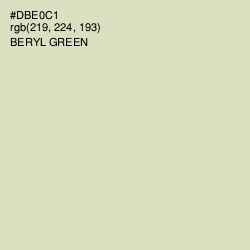 #DBE0C1 - Beryl Green Color Image