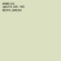 #DBE1C0 - Beryl Green Color Image