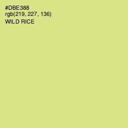 #DBE388 - Wild Rice Color Image