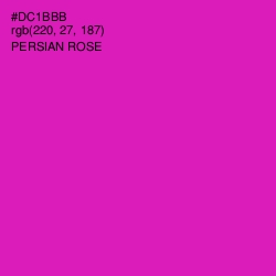 #DC1BBB - Persian Rose Color Image