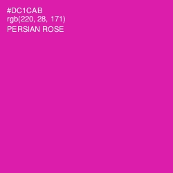 #DC1CAB - Persian Rose Color Image