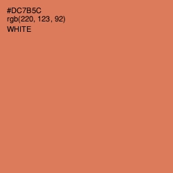 #DC7B5C - Raw Sienna Color Image