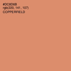 #DC8D6B - Copperfield Color Image