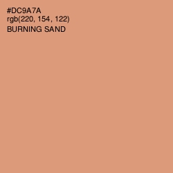 #DC9A7A - Burning Sand Color Image