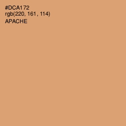 #DCA172 - Apache Color Image