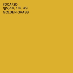 #DCAF2D - Golden Grass Color Image