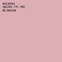 #DCAFB4 - Blossom Color Image