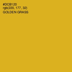 #DCB120 - Golden Grass Color Image