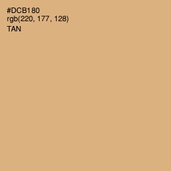 #DCB180 - Tan Color Image