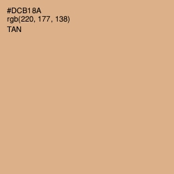 #DCB18A - Tan Color Image