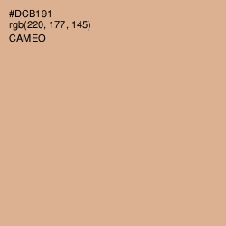 #DCB191 - Cameo Color Image