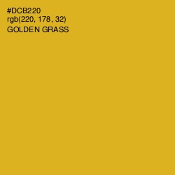 #DCB220 - Golden Grass Color Image