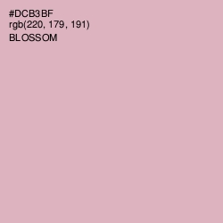 #DCB3BF - Blossom Color Image