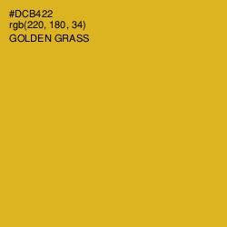 #DCB422 - Golden Grass Color Image