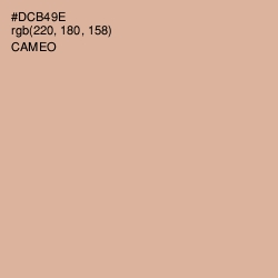 #DCB49E - Cameo Color Image
