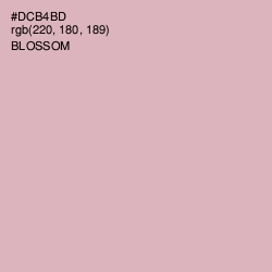 #DCB4BD - Blossom Color Image