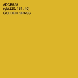 #DCB528 - Golden Grass Color Image
