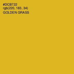 #DCB722 - Golden Grass Color Image