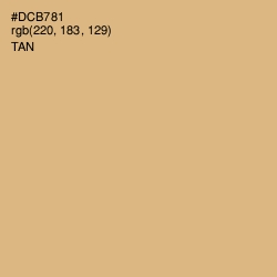 #DCB781 - Tan Color Image