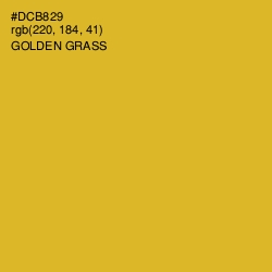 #DCB829 - Golden Grass Color Image