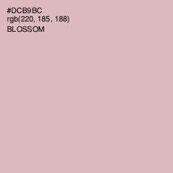 #DCB9BC - Blossom Color Image