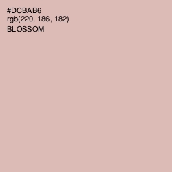 #DCBAB6 - Blossom Color Image