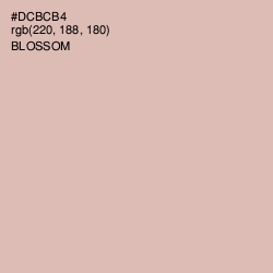 #DCBCB4 - Blossom Color Image