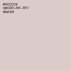 #DCCCC9 - Wafer Color Image