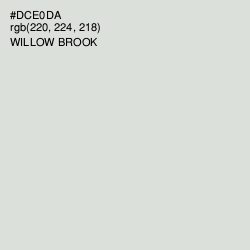 #DCE0DA - Willow Brook Color Image