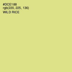 #DCE188 - Wild Rice Color Image