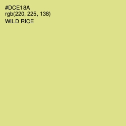 #DCE18A - Wild Rice Color Image