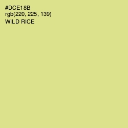 #DCE18B - Wild Rice Color Image