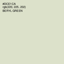 #DCE1CA - Beryl Green Color Image
