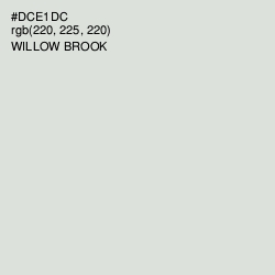 #DCE1DC - Willow Brook Color Image