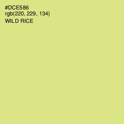 #DCE586 - Wild Rice Color Image