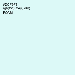 #DCF9F8 - Foam Color Image