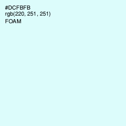 #DCFBFB - Foam Color Image