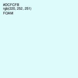 #DCFCFB - Foam Color Image