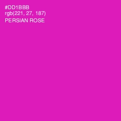 #DD1BBB - Persian Rose Color Image