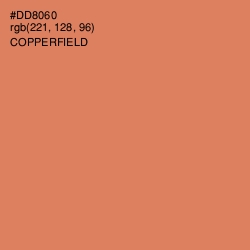 #DD8060 - Copperfield Color Image