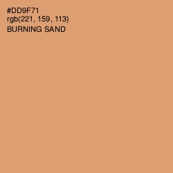 #DD9F71 - Burning Sand Color Image