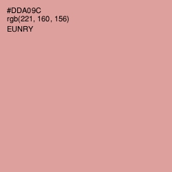#DDA09C - Eunry Color Image