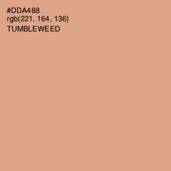 #DDA488 - Tumbleweed Color Image
