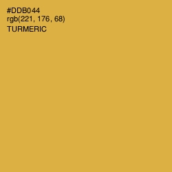 #DDB044 - Turmeric Color Image